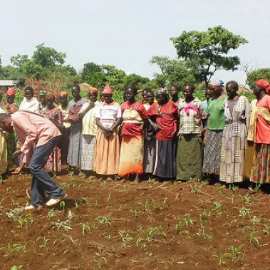 People planting crops